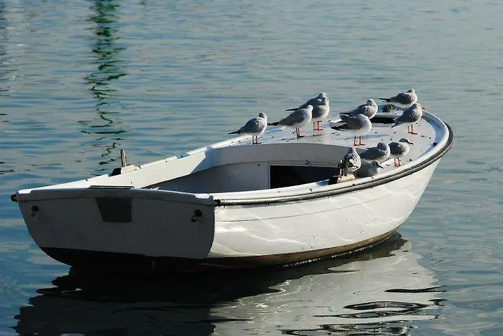 Apartments Cambi Kastela